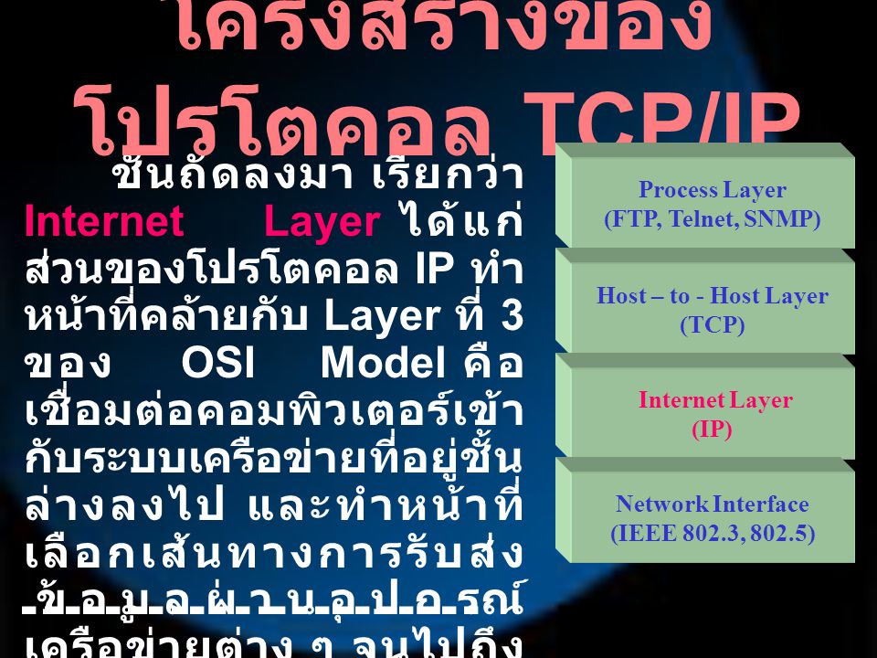โครงสร้างของโปรโตคอล TCP/IP