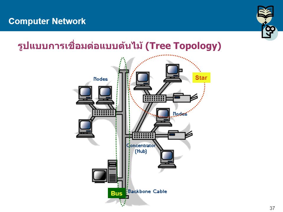 รูปแบบการเชื่อมต่อแบบต้นไม้ (Tree Topology)