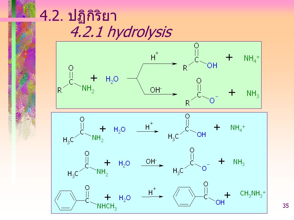 4.2. ปฏิกิริยา hydrolysis acid derivative