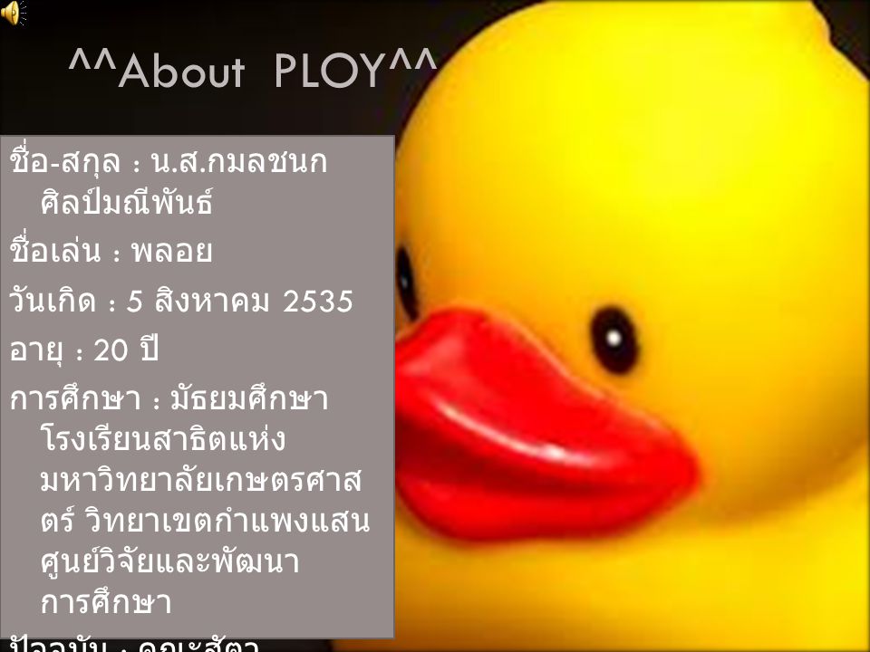 ^^About PLOY^^