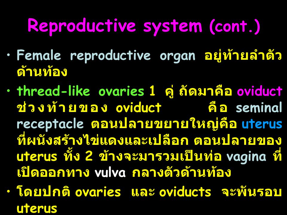 Reproductive system (cont.)