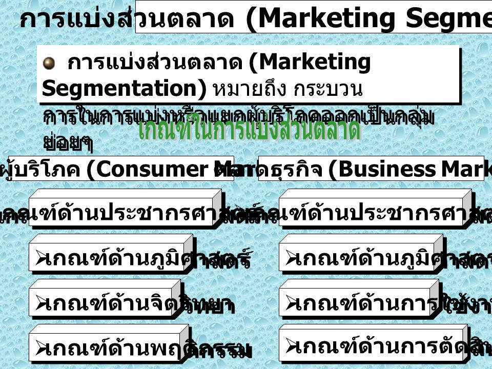 การแบ่งส่วนตลาด (Marketing Segmentation)