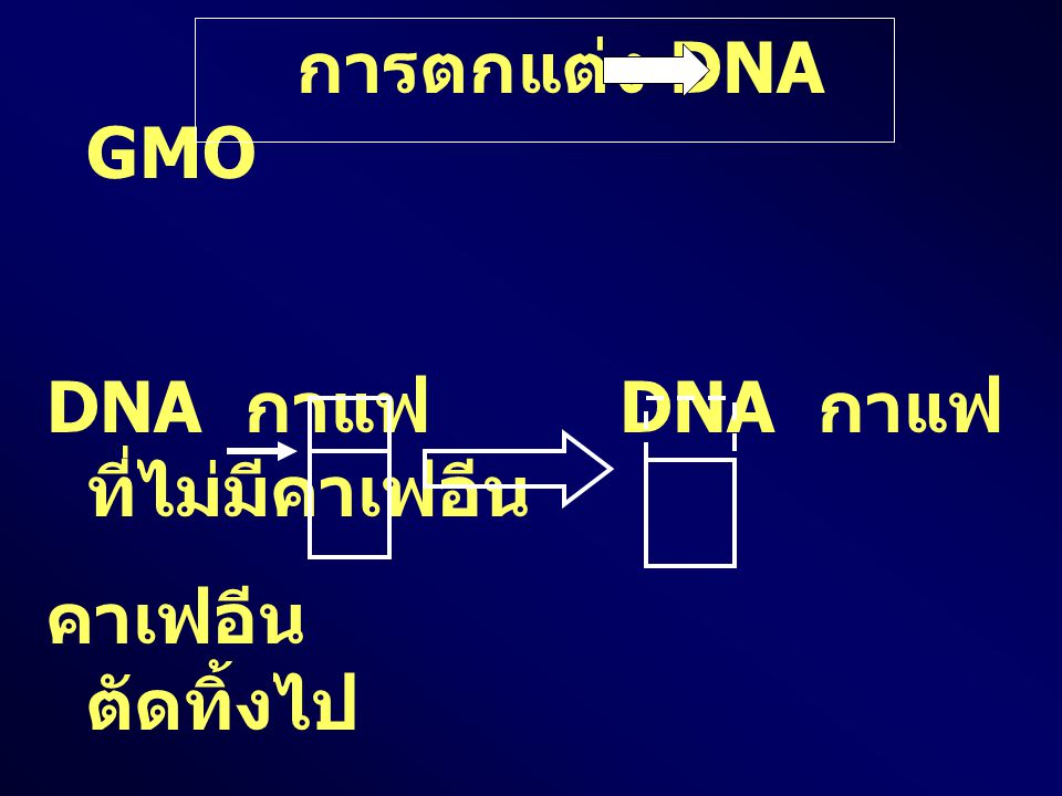 การตกแต่ง DNA GMO DNA กาแฟ DNA กาแฟที่ไม่มีคาเฟอีน คาเฟอีน ตัดทิ้งไป