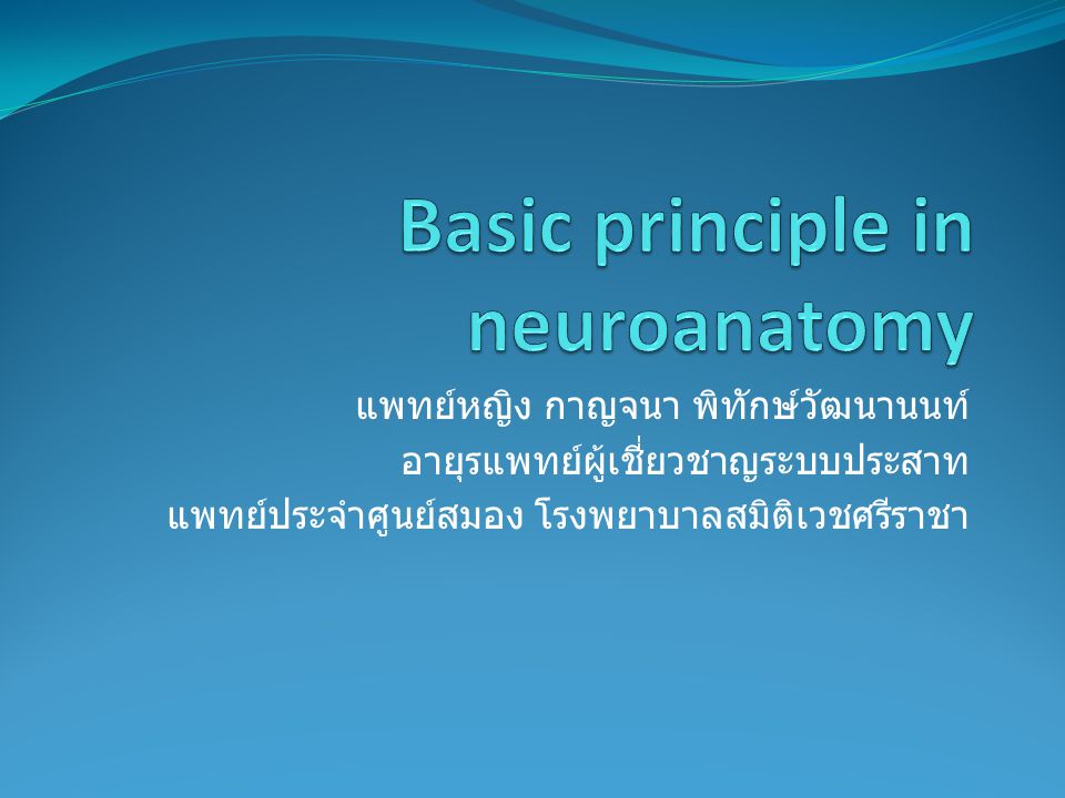 Basic principle in neuroanatomy