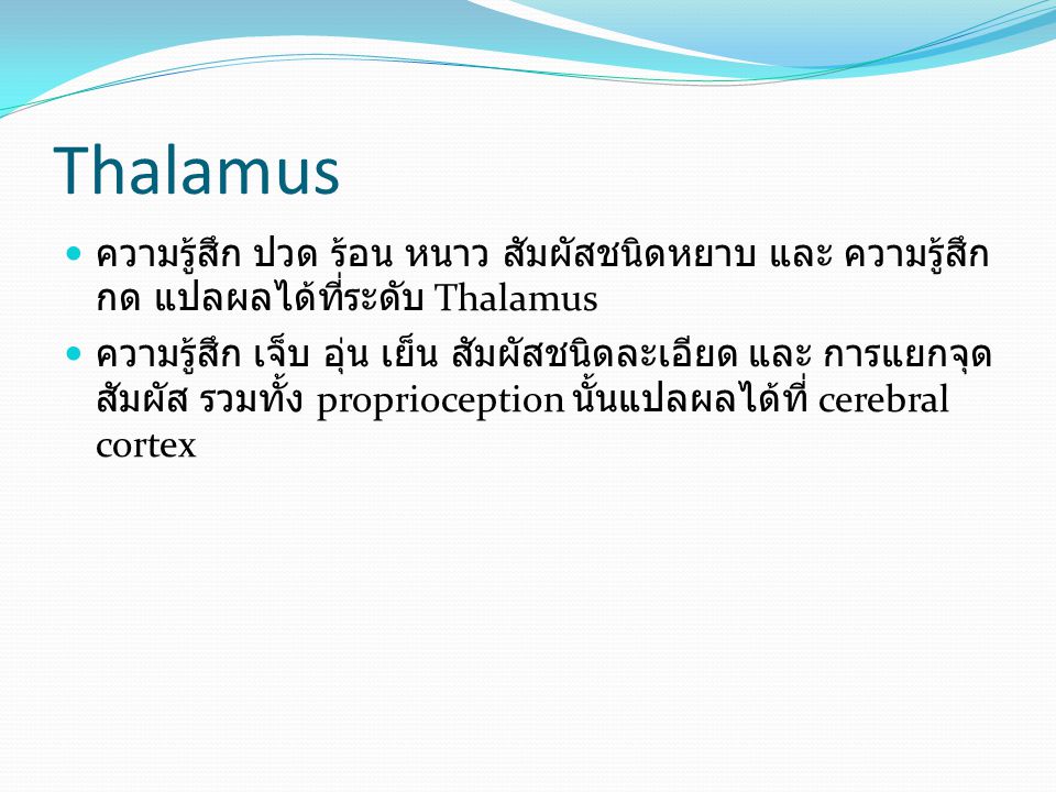 Thalamus ความรู้สึก ปวด ร้อน หนาว สัมผัสชนิดหยาบ และ ความรู้สึกกด แปลผลได้ที่ระดับ Thalamus.
