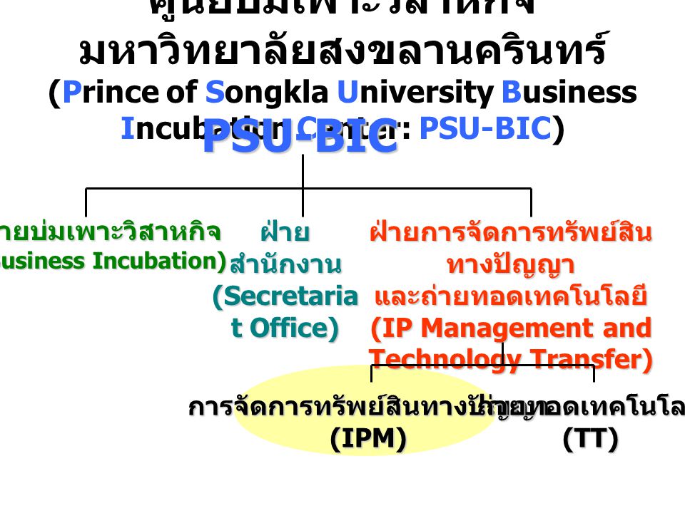 ศูนย์บ่มเพาะวิสาหกิจ มหาวิทยาลัยสงขลานครินทร์ (Prince of Songkla University Business Incubation Center: PSU-BIC)