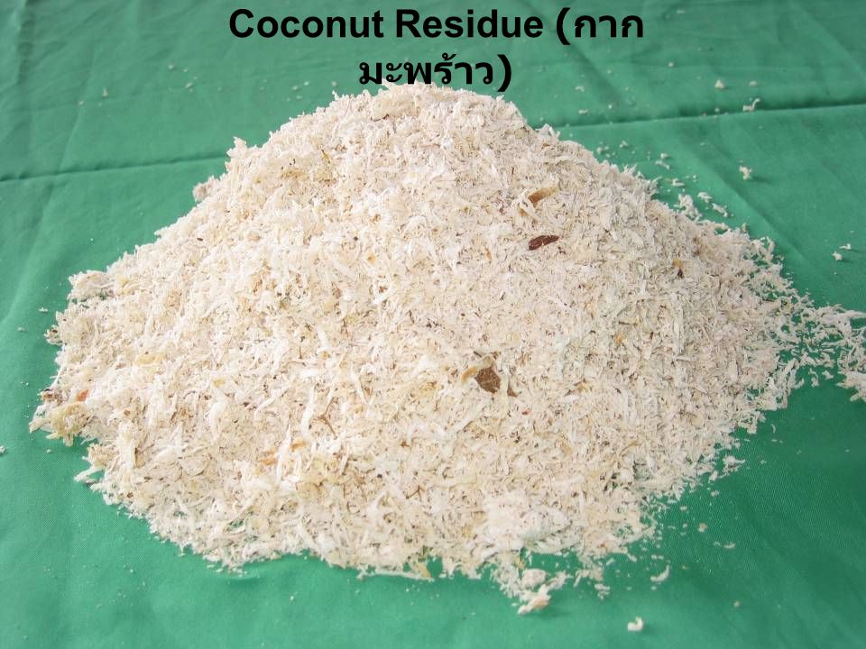 Coconut Residue (กากมะพร้าว)