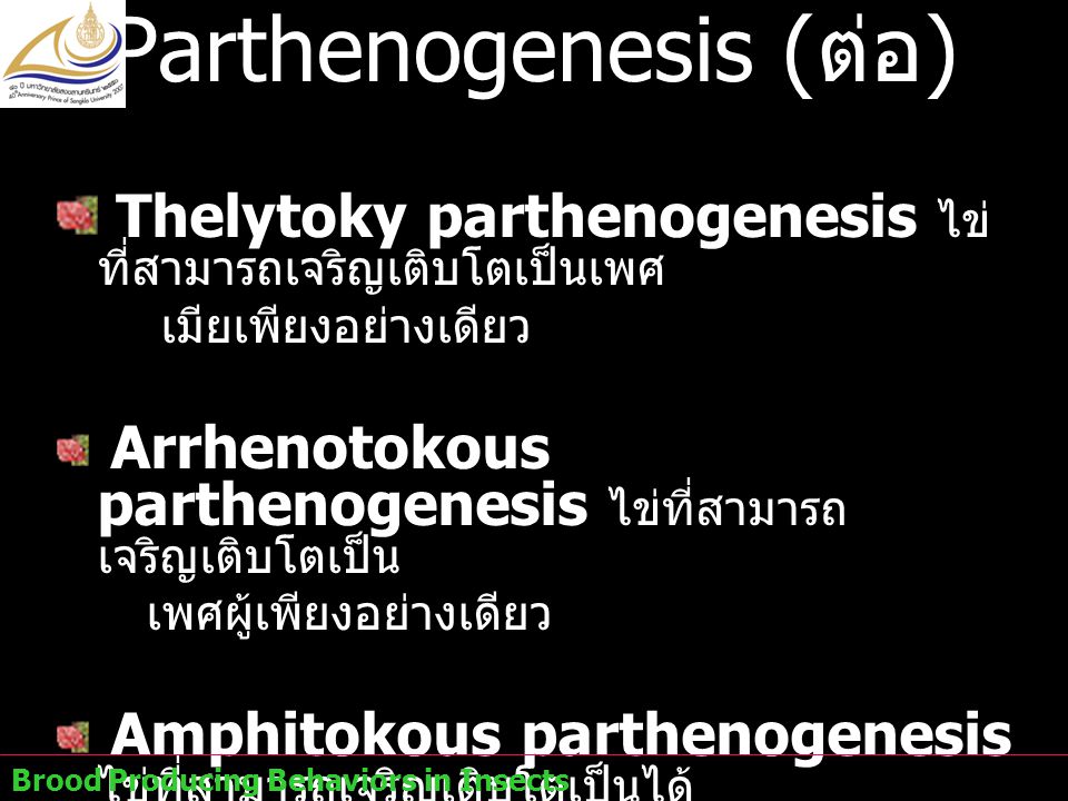 Parthenogenesis (ต่อ)