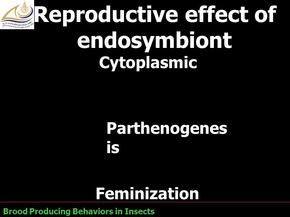 Reproductive effect of endosymbiont
