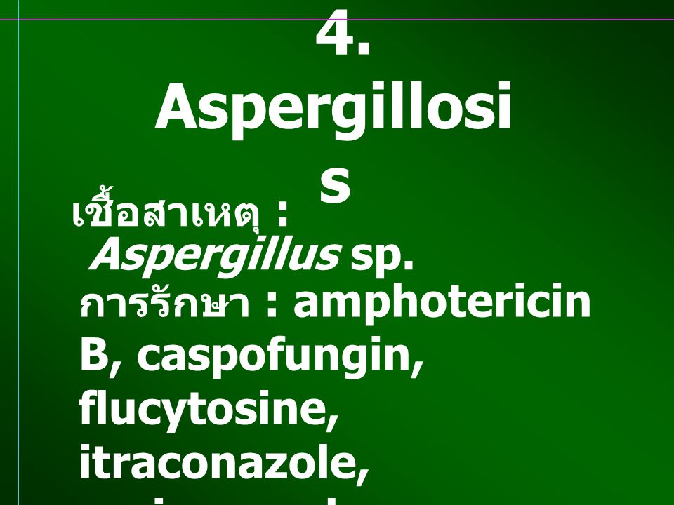 4. Aspergillosis เชื้อสาเหตุ : Aspergillus sp.