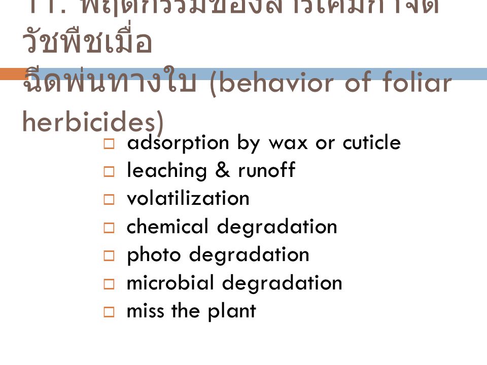 11. พฤติกรรมของสารเคมีกำจัดวัชพืชเมื่อ ฉีดพ่นทางใบ (behavior of foliar herbicides)