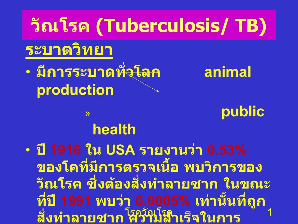 วัณโรค (Tuberculosis/ TB)