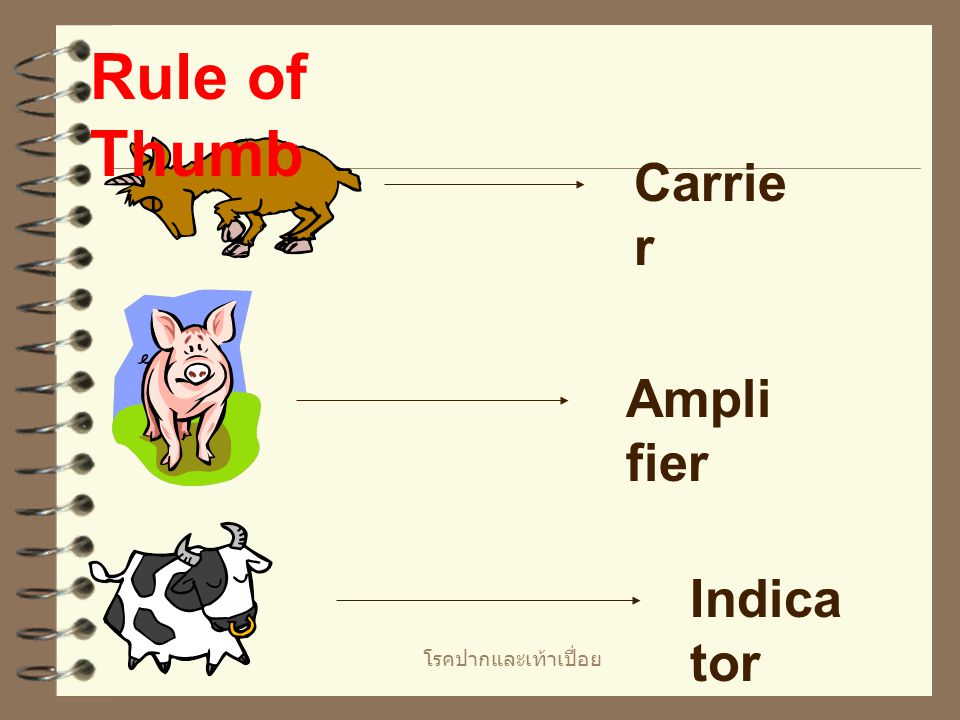 Rule of Thumb Carrier Amplifier Indicator โรคปากและเท้าเปื่อย