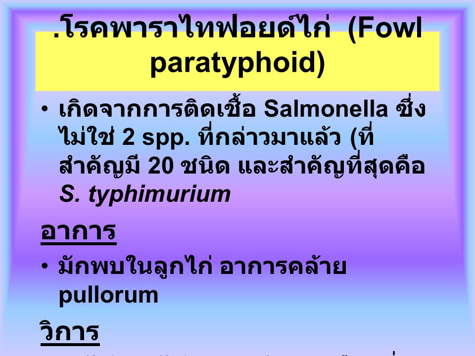 .โรคพาราไทฟอยด์ไก่ (Fowl paratyphoid)