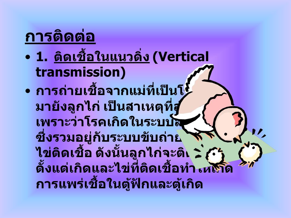 การติดต่อ 1. ติดเชื้อในแนวดิ่ง (Vertical transmission)
