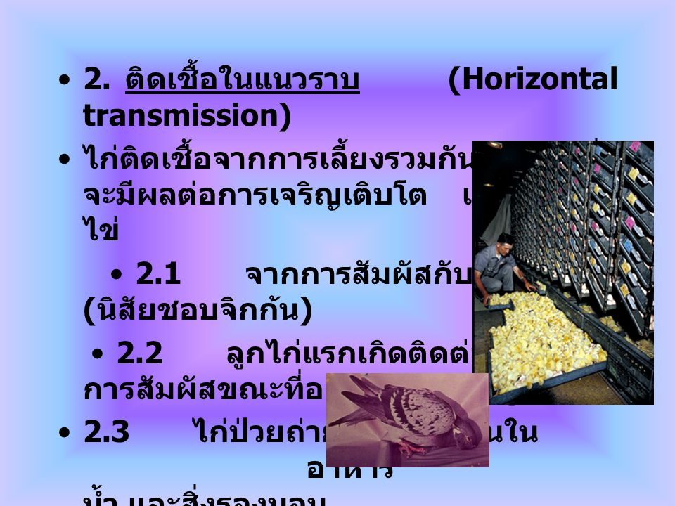 2. ติดเชื้อในแนวราบ (Horizontal transmission)