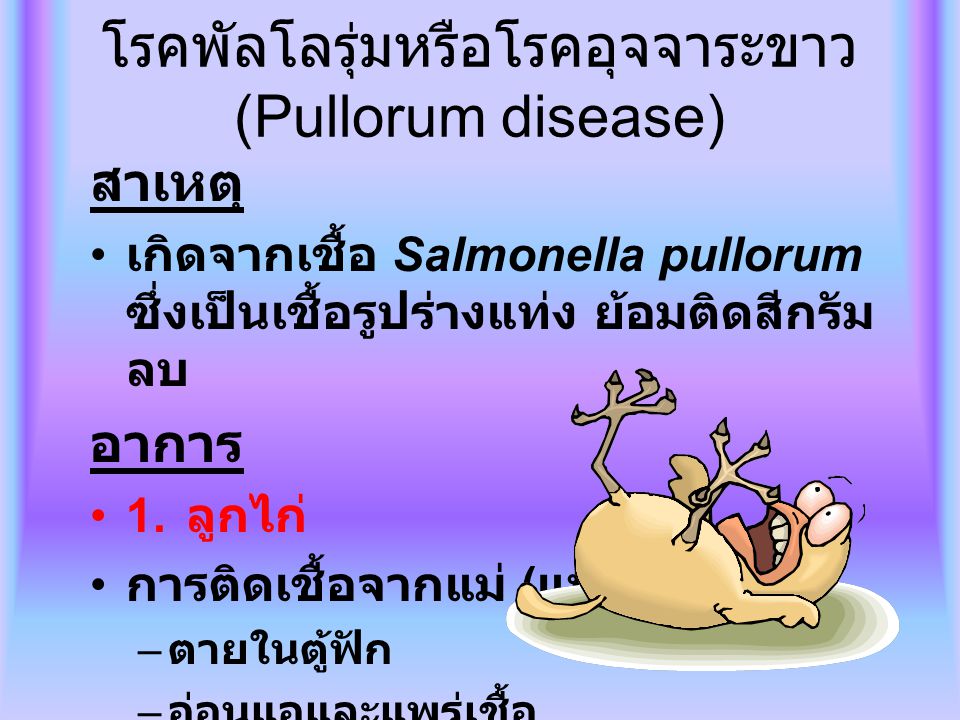โรคพัลโลรุ่มหรือโรคอุจจาระขาว (Pullorum disease)