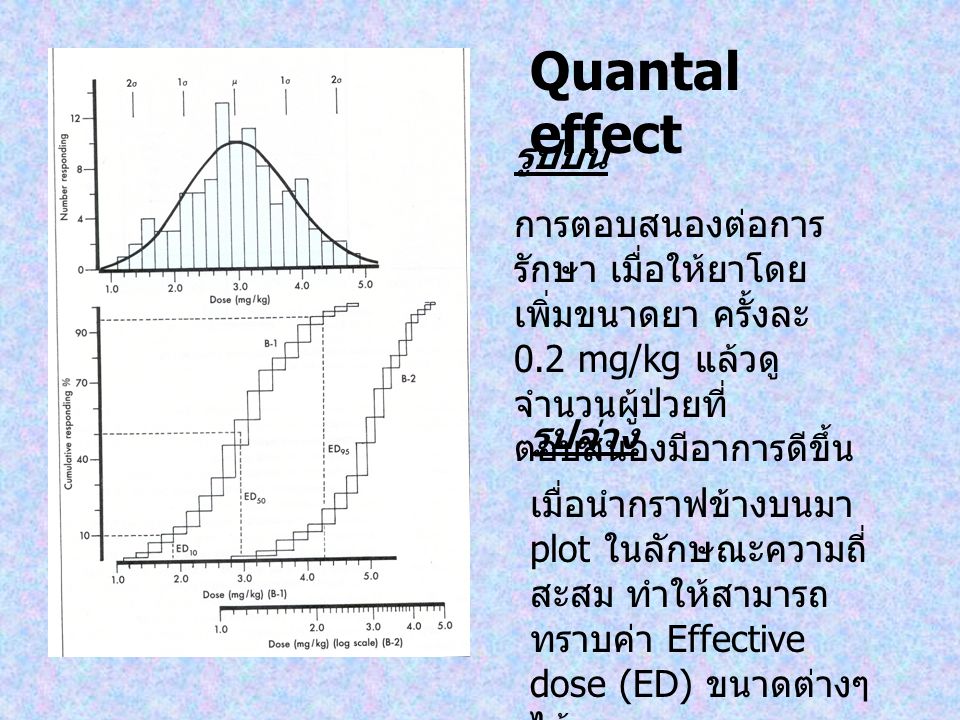 Quantal effect รูปบน. การตอบสนองต่อการรักษา เมื่อให้ยาโดยเพิ่มขนาดยา ครั้งละ 0.2 mg/kg แล้วดูจำนวนผู้ป่วยที่ตอบสนองมีอาการดีขึ้น.