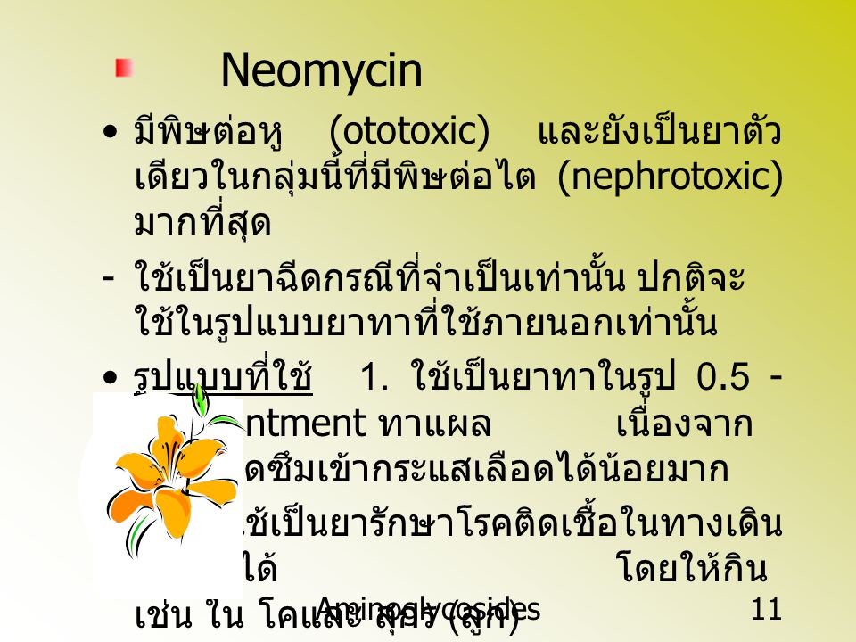 Neomycin มีพิษต่อหู (ototoxic) และยังเป็นยาตัวเดียวในกลุ่มนี้ที่มีพิษต่อไต (nephrotoxic) มากที่สุด.