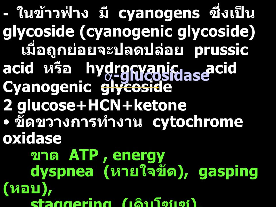- ในข้าวฟ่าง มี cyanogens ซึ่งเป็น glycoside (cyanogenic glycoside)