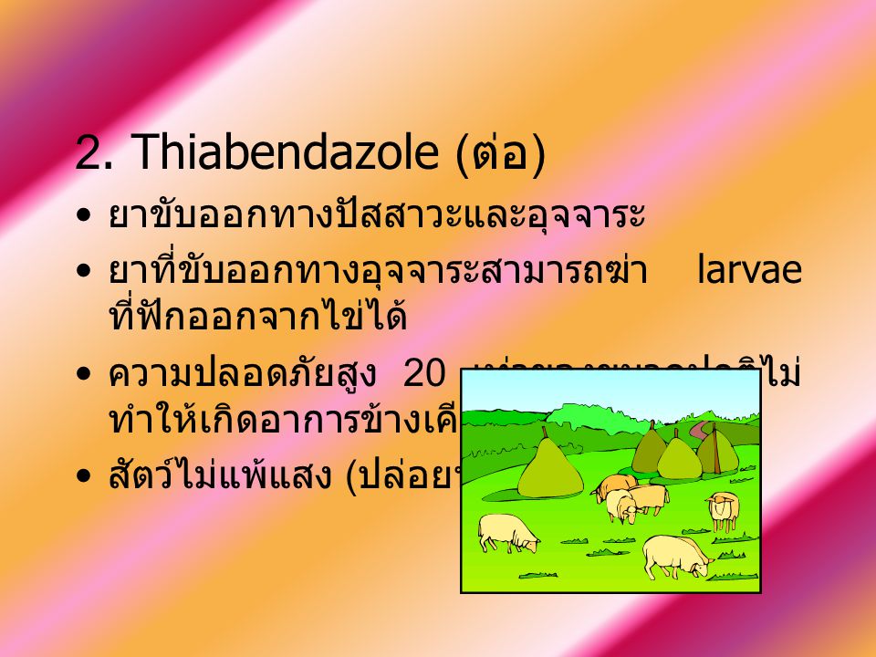 2. Thiabendazole (ต่อ) ยาขับออกทางปัสสาวะและอุจจาระ
