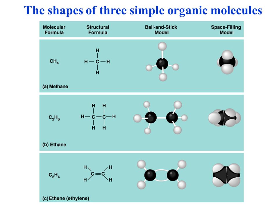The shapes of three simple organic molecules