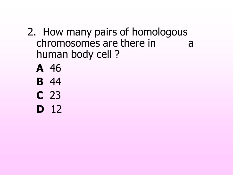 2. How many pairs of homologous chromosomes are there in a human body cell