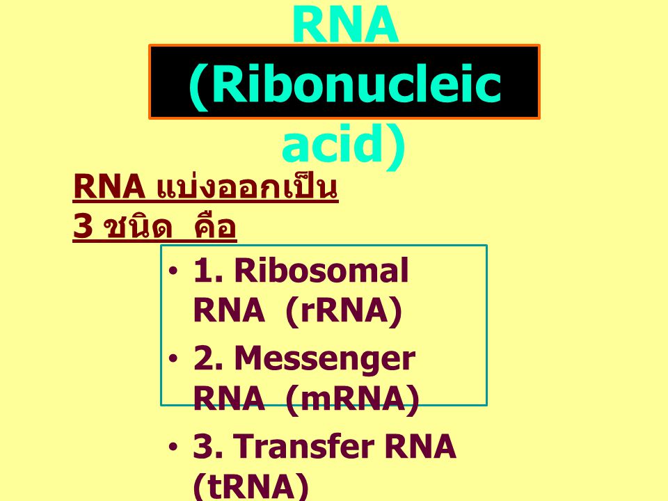 RNA (Ribonucleic acid)