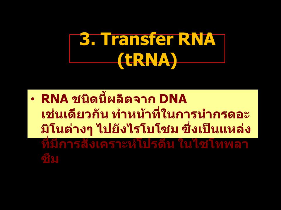 3. Transfer RNA (tRNA)