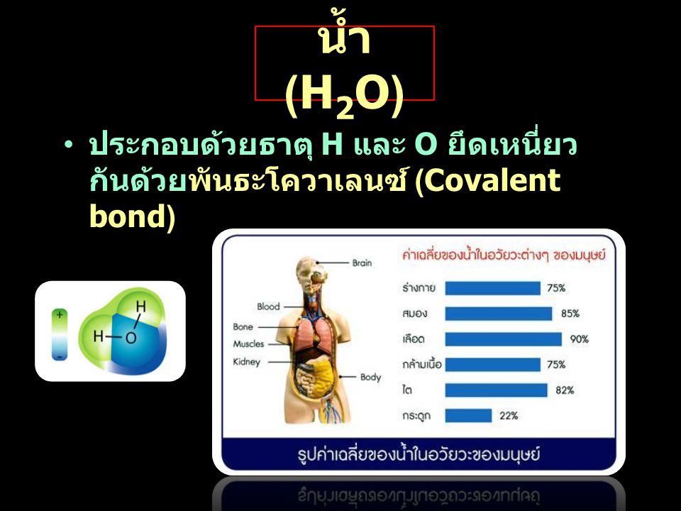 น้ำ (H2O) ประกอบด้วยธาตุ H และ O ยึดเหนี่ยวกันด้วยพันธะโควาเลนซ์ (Covalent bond)