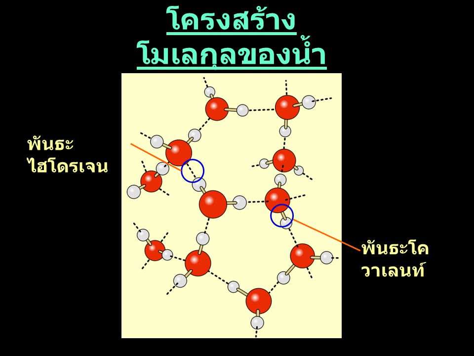 โครงสร้างโมเลกุลของน้ำ