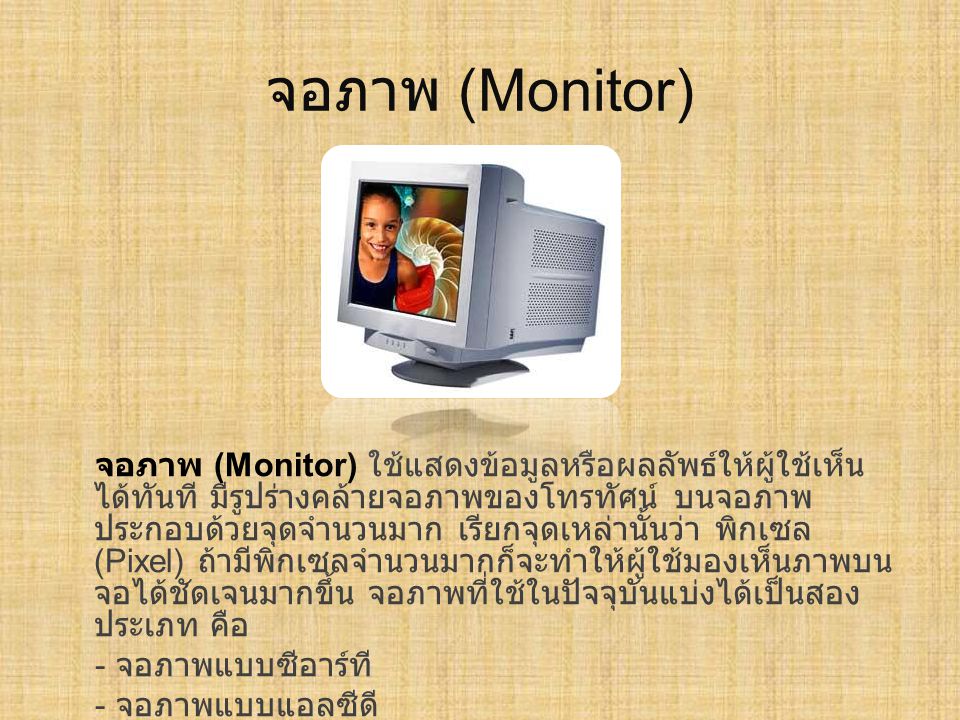 จอภาพ (Monitor)