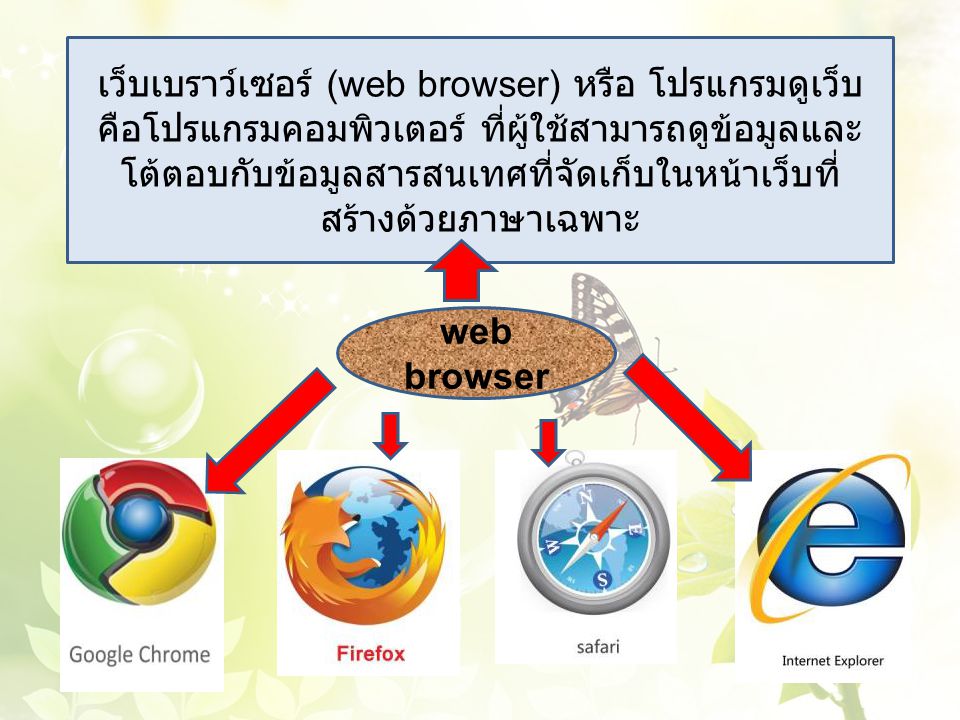 เว็บเบราว์เซอร์ (web browser) หรือ โปรแกรมดูเว็บ คือโปรแกรมคอมพิวเตอร์ ที่ผู้ใช้สามารถดูข้อมูลและโต้ตอบกับข้อมูลสารสนเทศที่จัดเก็บในหน้าเว็บที่ สร้างด้วยภาษาเฉพาะ