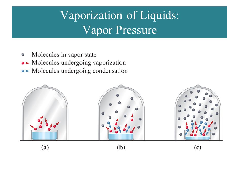 Vaporization of Liquids: Vapor Pressure