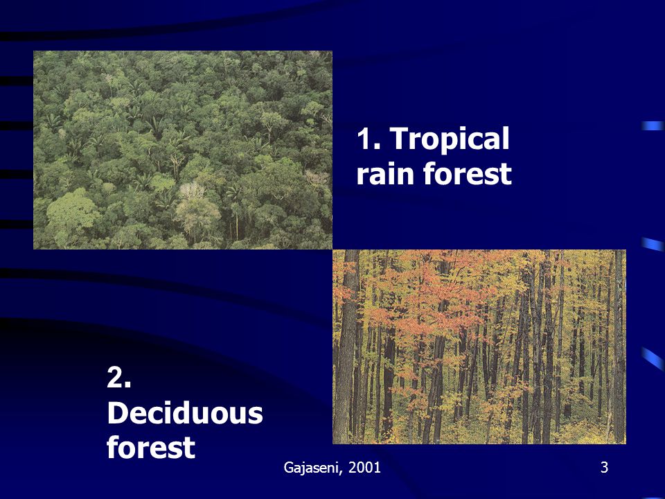 1. Tropical rain forest 2. Deciduous forest Gajaseni, 2001