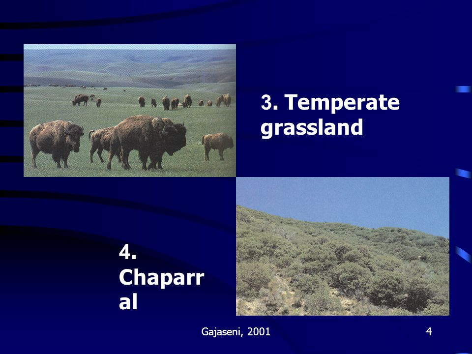 3. Temperate grassland 4. Chaparral Gajaseni, 2001