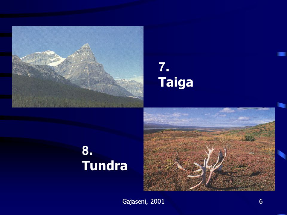 7. Taiga 8. Tundra Gajaseni, 2001