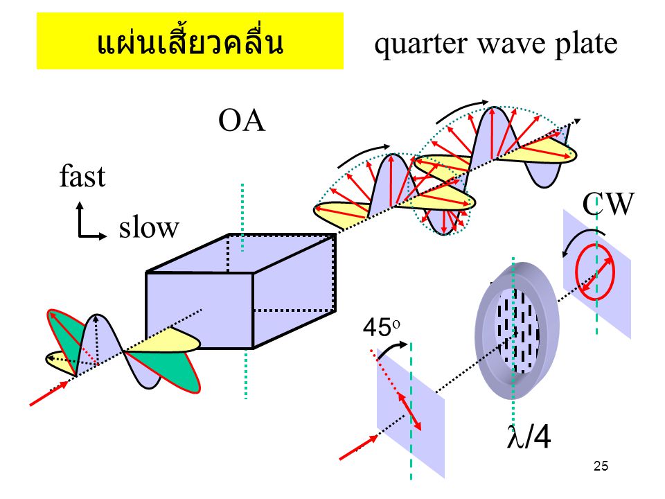 แผ่นเสี้ยวคลื่น quarter wave plate fast slow OA 45o l/4 CW