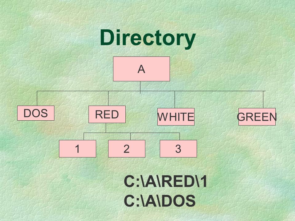 Directory A DOS RED WHITE GREEN C:\A\RED\1 C:\A\DOS