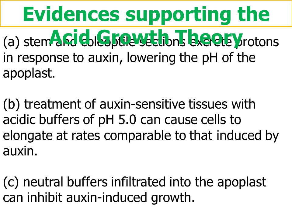 Evidences supporting the Acid Growth Theory