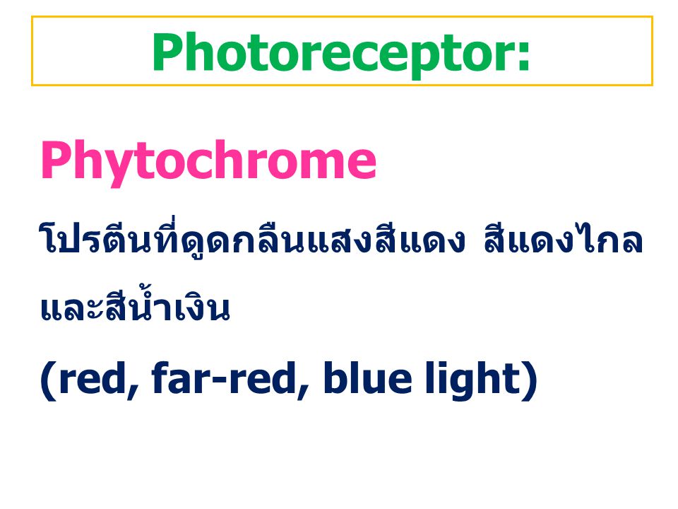 Photoreceptor: Phytochrome (red, far-red, blue light)