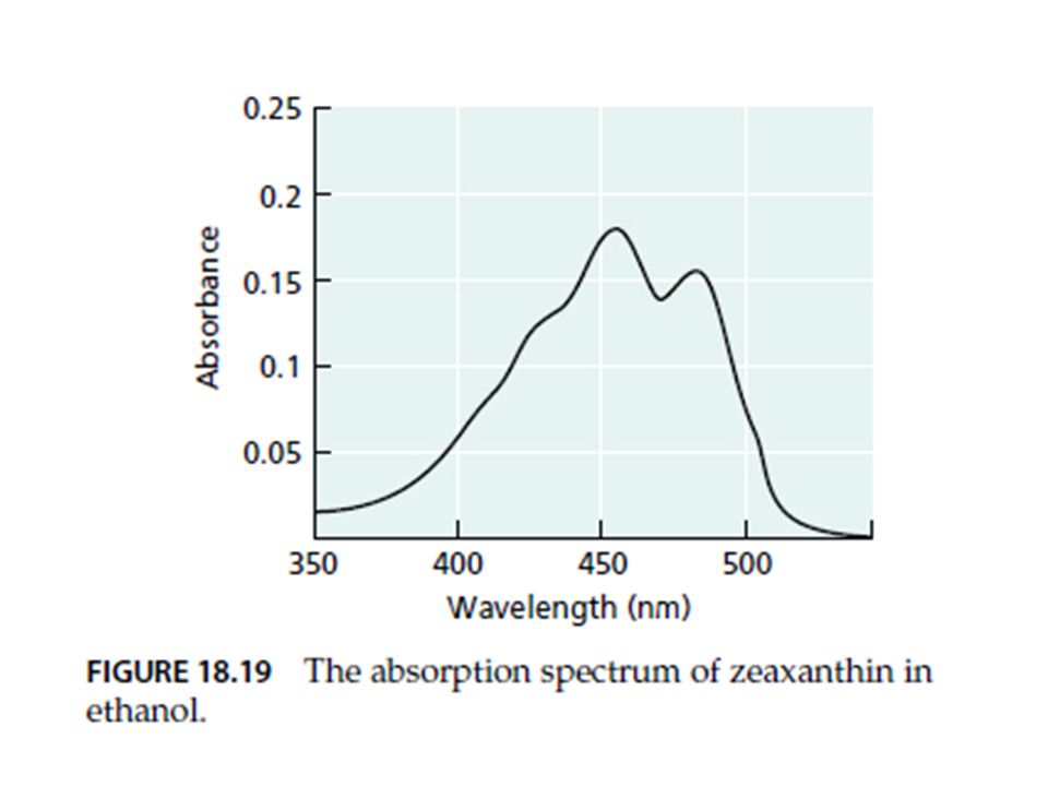 Absorption spectrum ของ zeaxanthin เป็นกราฟความสัมพันธ์ระหว่างชนิดแสงกับค่าการดูดกลืนแสง จากรูปแบบของเส้นกราฟจะเห็นว่า zeaxanthin มีค่าการดูดกลืนแสงสูงในช่วง nm เช่นเดียวกับ action spectrum ของ blue-light response