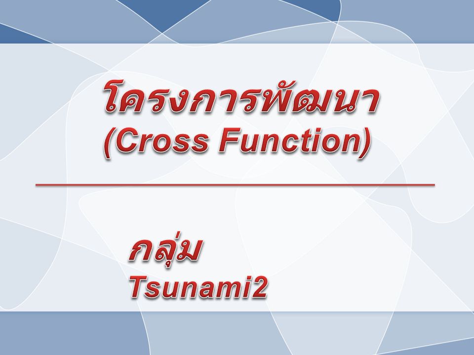 โครงการพัฒนา (Cross Function) กลุ่ม Tsunami2