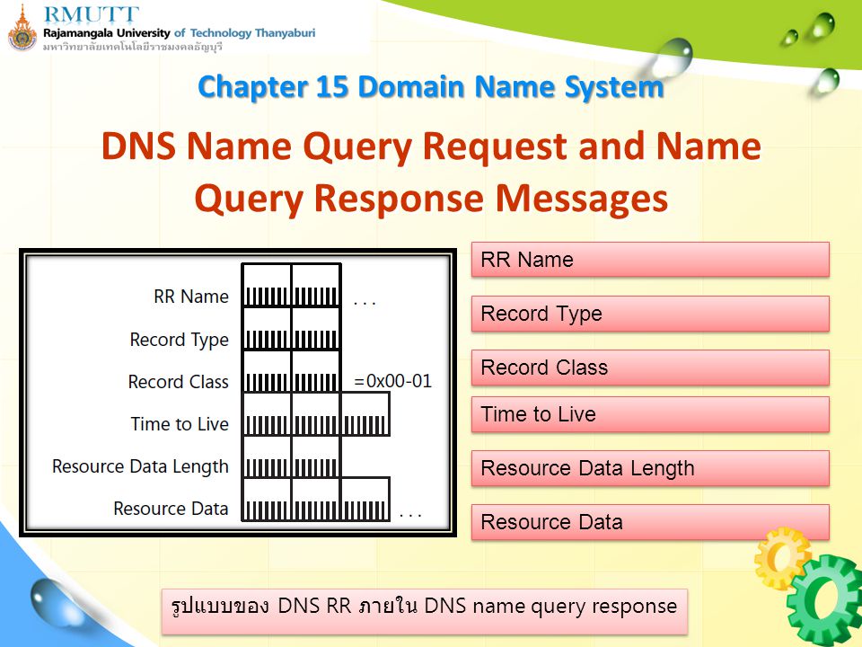 DNS Name Query Request and Name Query Response Messages
