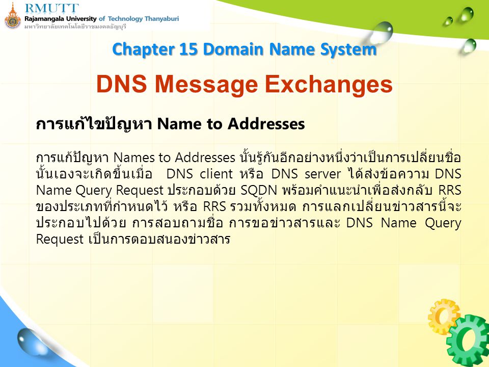Chapter 15 Domain Name System