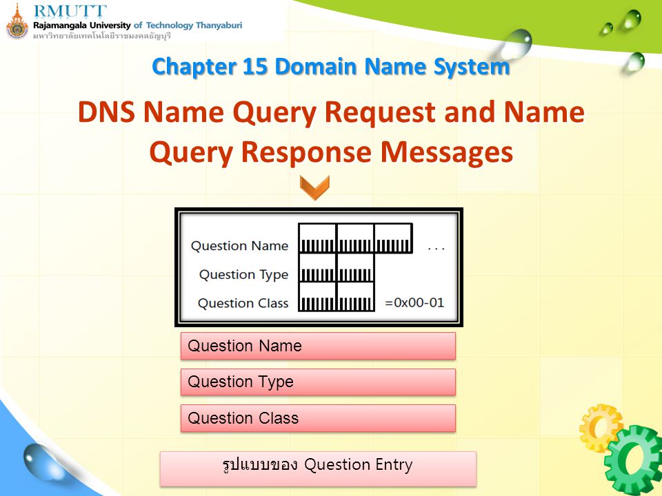 DNS Name Query Request and Name Query Response Messages