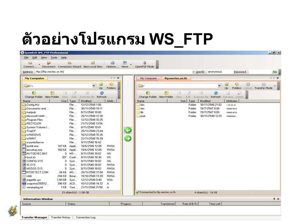ตัวอย่างโปรแกรม WS_FTP
