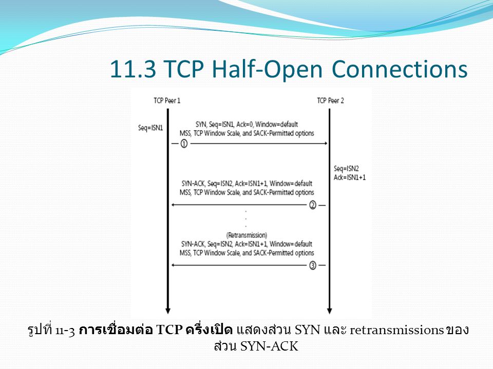 11.3 TCP Half-Open Connections