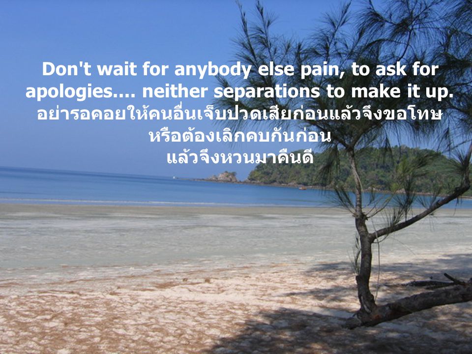 Don t wait for anybody else pain, to ask for apologies
