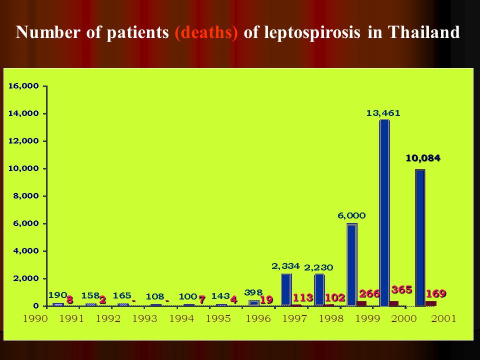 Number of patients (deaths) of leptospirosis in Thailand
